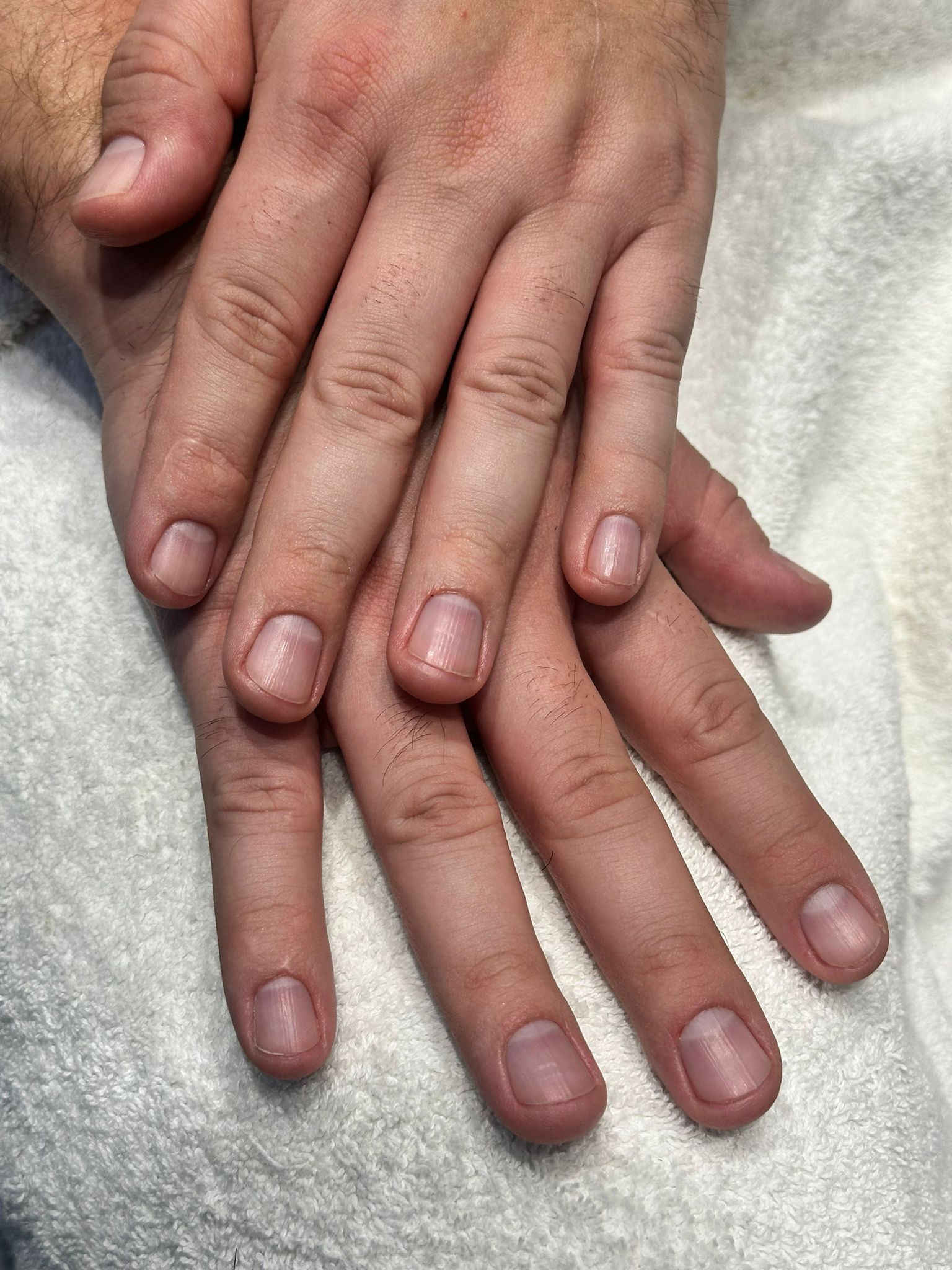 Reliable and premium experience